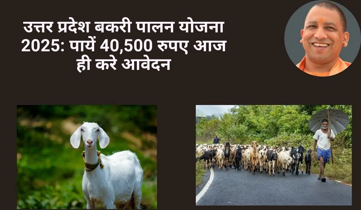 Bakri Palan Yojana UP